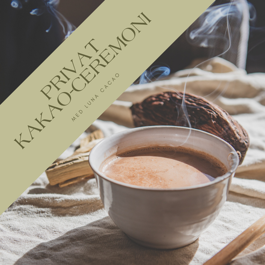 Kakaoceremoni privat grupp