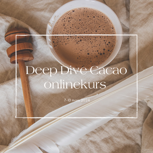 Deep Dive Cacao - mars 2024